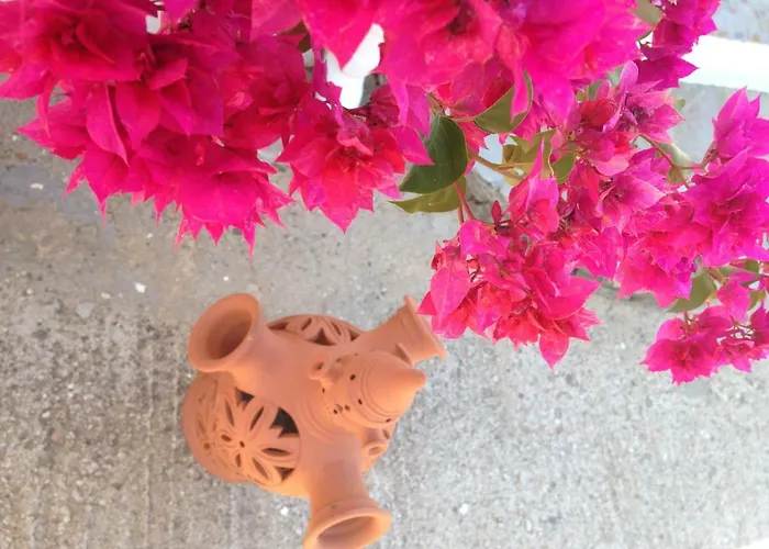 Costa Lejlighed Vathi (Sifnos)